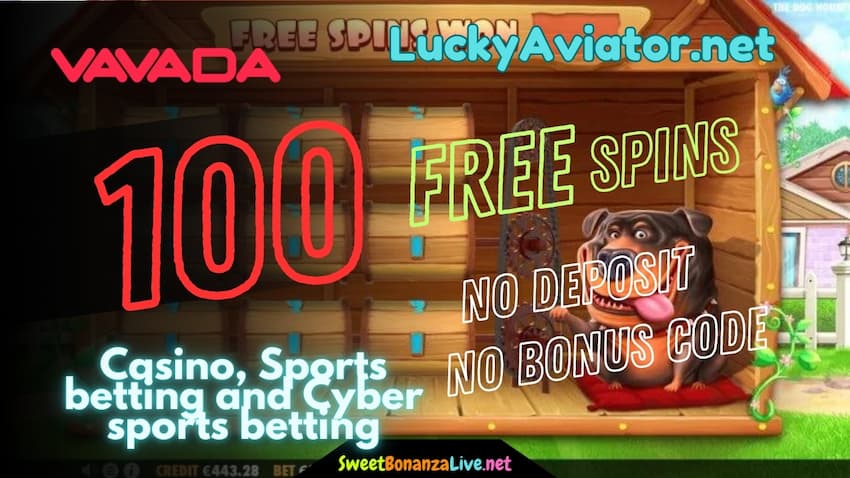 Promotional banner for Vavada featuring 100 free spins with no deposit or bonus code required. Includes text about casino, sports betting, and cyber sports betting, with mentions of LuckyAviator.net and SweetBonanzaLive.net, displayed on a slot game background from The Dog House.
