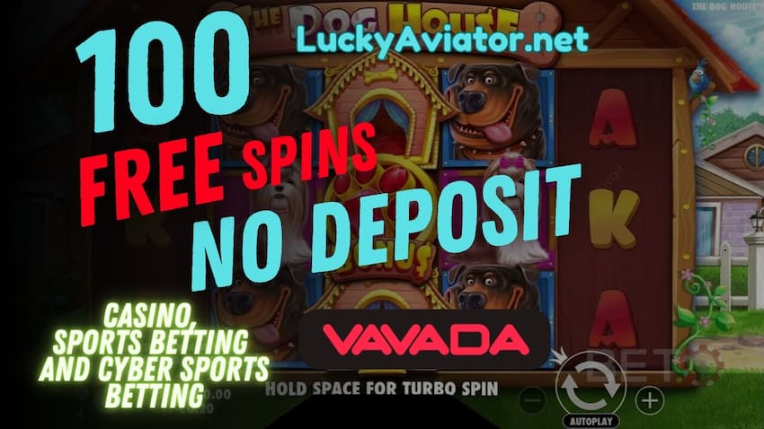 Promotional banner for Vavada Casino showcasing 100 free spins with no deposit required in The Dog House slot. The LuckyAviator.net website is highlighted, alongside text promoting casino gaming, sports betting, and cyber sports betting. The image features a vibrant slot game background with cartoon dogs.
